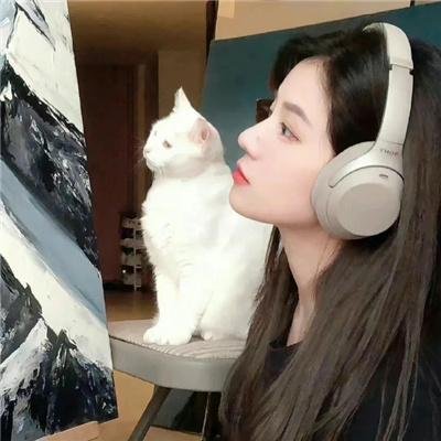 伴娘复仇记